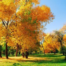 Схема вышивки «осень»