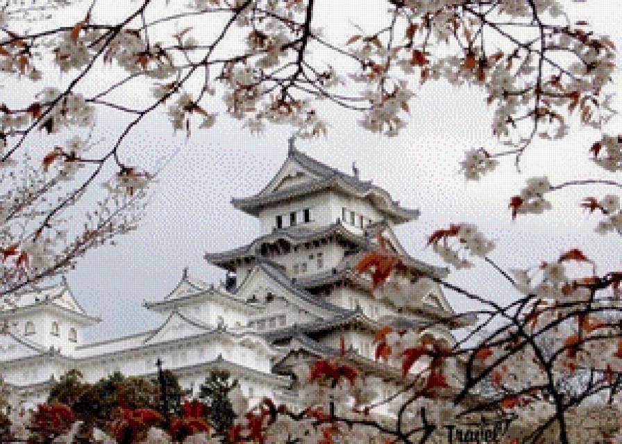 №1040102 - предпросмотр