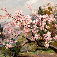 Схема вышивки «сакура»