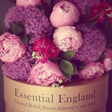 Схема вышивки «Пионы»