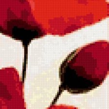 маки часть 3