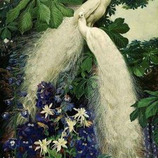 Схема вышивки «Pareja de Pavos Reales blancos»