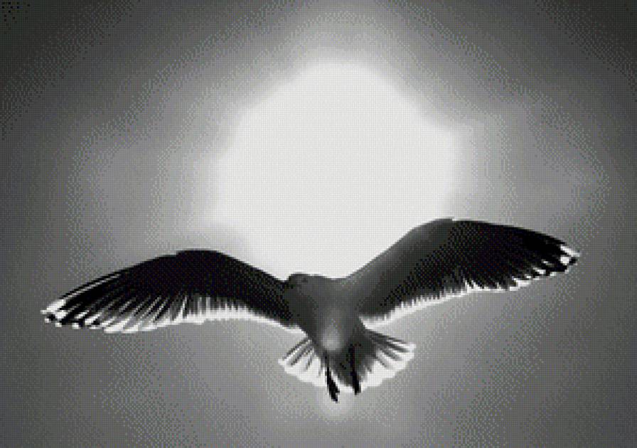 №1041227 - предпросмотр