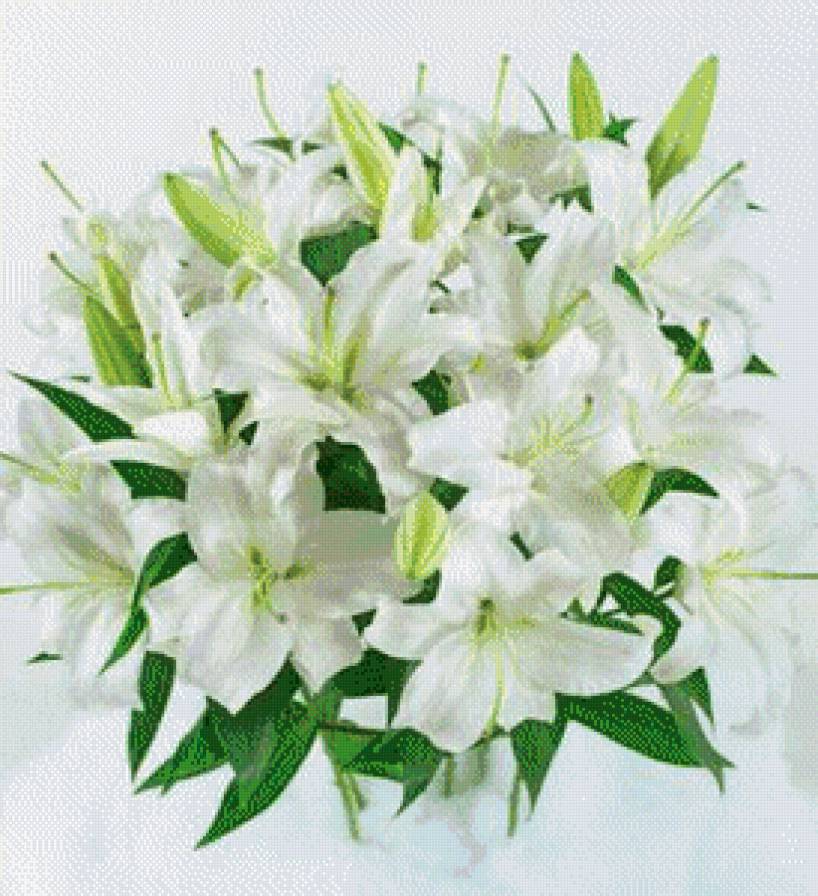 №1041233 - предпросмотр