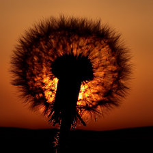 Схема вышивки «№1041277»