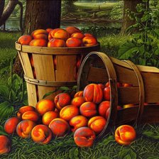 Схема вышивки «№1041339»