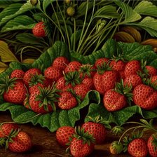 Схема вышивки «№1041340»