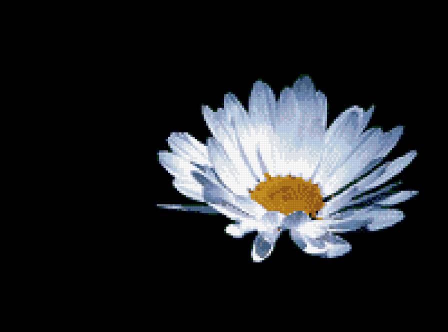 Ромашка - предпросмотр