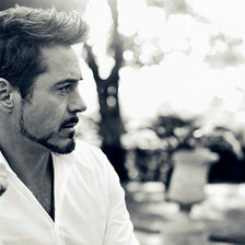 Схема вышивки «Robert Downey Jr»