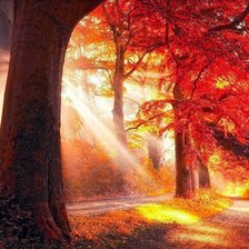 Схема вышивки «№1041687»