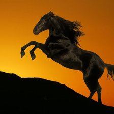 Схема вышивки «Чёрная лошадь 2»