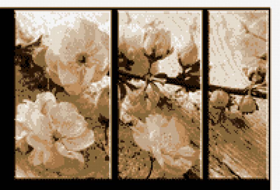 цветущая ветка - цветущая ветка - предпросмотр