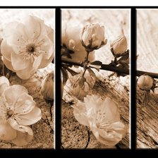 Схема вышивки «цветущая ветка»