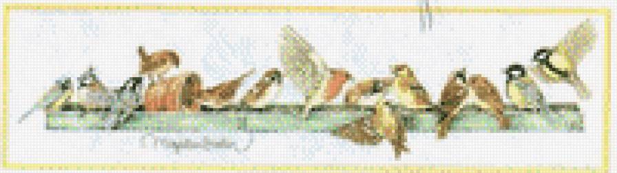 Птицы - предпросмотр