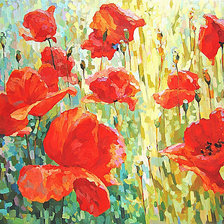 Схема вышивки «Маки»