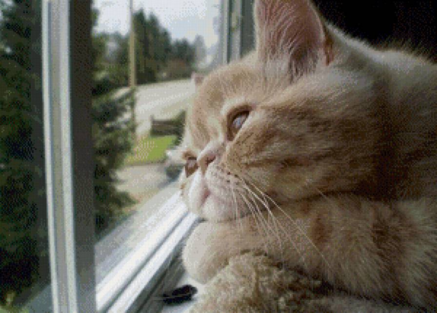 №1042792 - предпросмотр