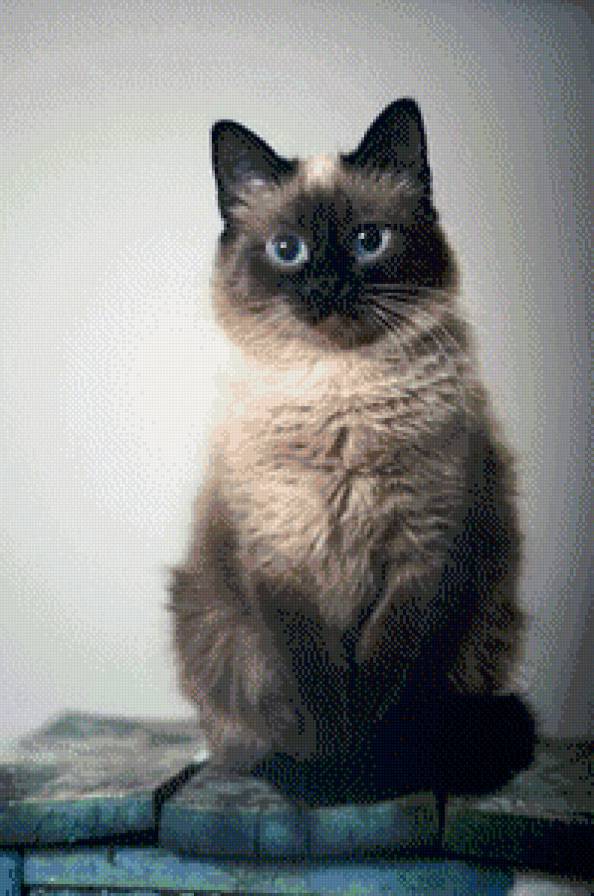 №1042793 - предпросмотр