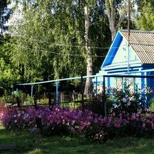 дом в деревне