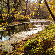 Схема вышивки «Октябрь»