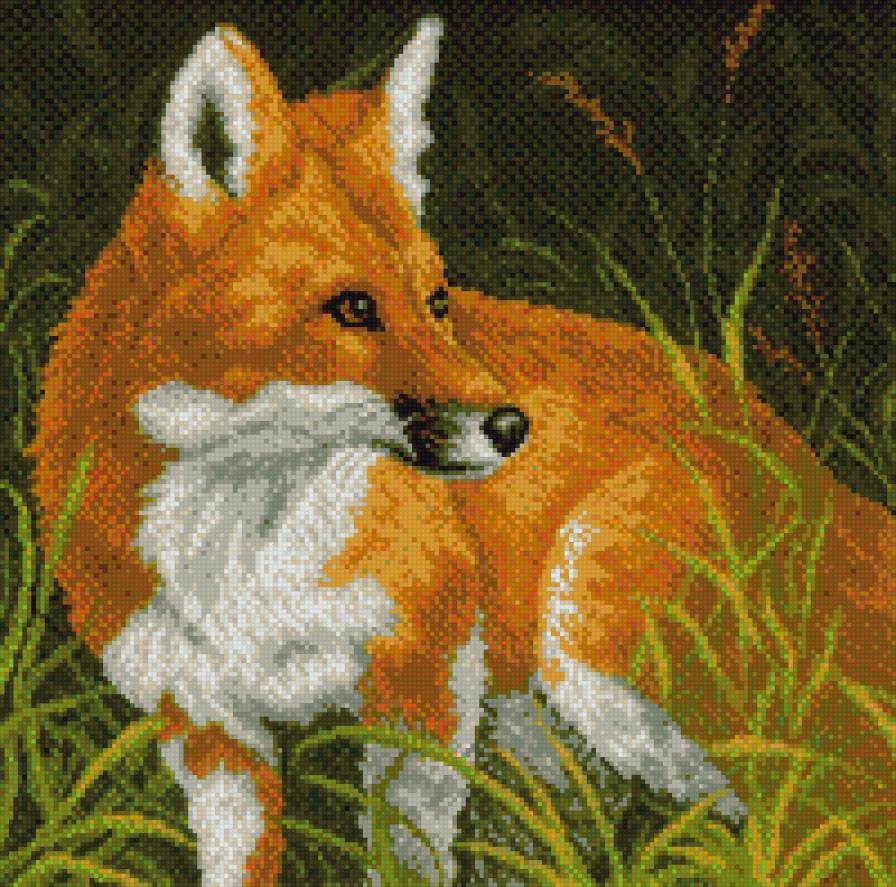 Рыжая - звери - предпросмотр