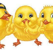 Схема вышивки «tres pollitos»