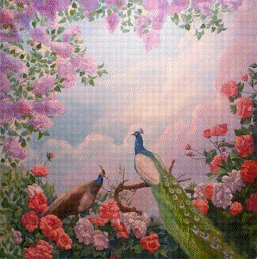 pavos con cielo purpura - предпросмотр