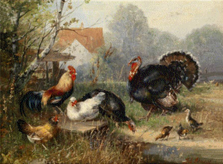 gallinaceas - предпросмотр