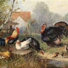 Схема вышивки «gallinaceas»