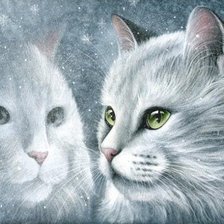 Схема вышивки «серия "кошки"»