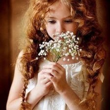 Схема вышивки «маленькая красавица»