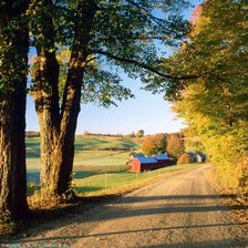 Схема вышивки «у дороги»
