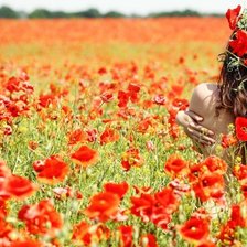 Схема вышивки «маки»