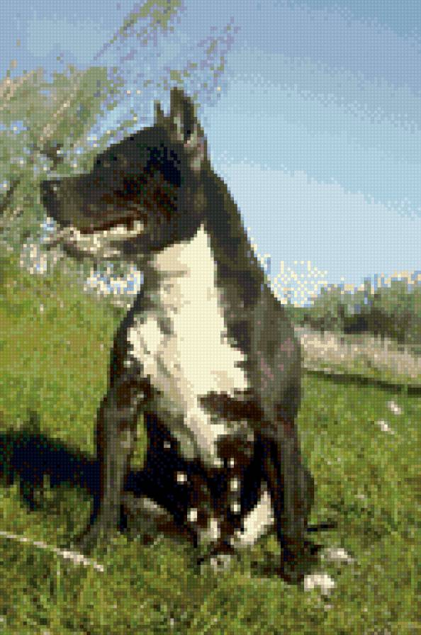 №1044999 - предпросмотр