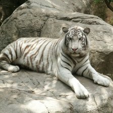 Схема вышивки «№1045037»