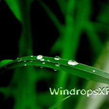 Схема вышивки «№1045038»