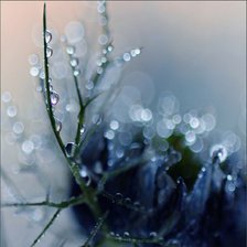 Схема вышивки «№1045049»