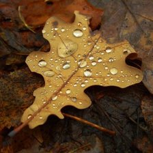 Схема вышивки «№1045073»