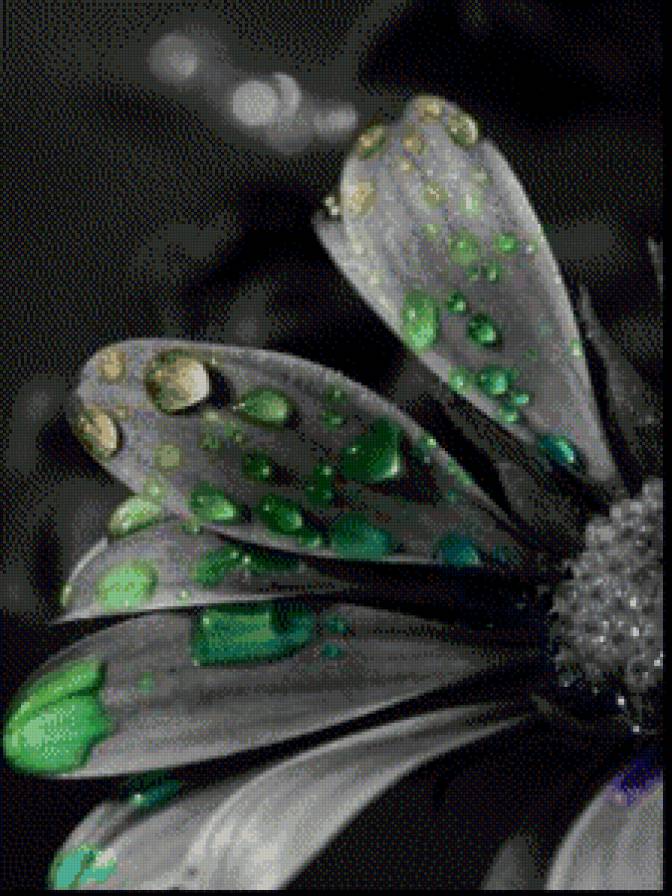 №1045112 - предпросмотр