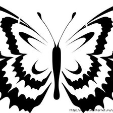 Схема вышивки «бабочка»