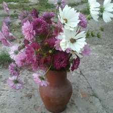 Схема вышивки «Космея»