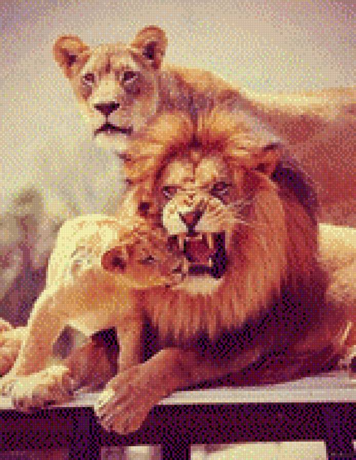семейство львов - предпросмотр