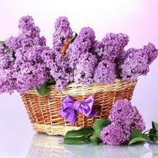 Схема вышивки «сирень»