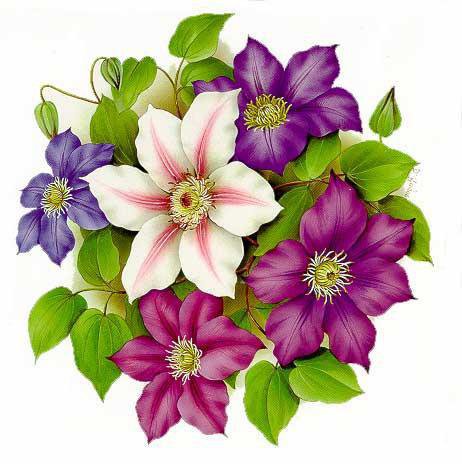 flores - оригинал