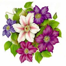 Схема вышивки «flores»