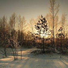 Схема вышивки «зима»