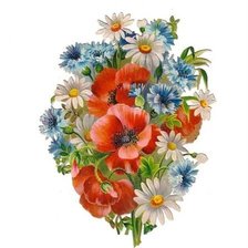 Схема вышивки «amapolas y mas»