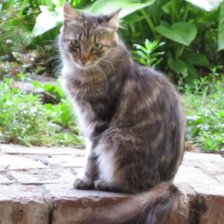 Схема вышивки «АСЯ»