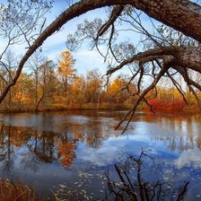 Схема вышивки «№1045777»