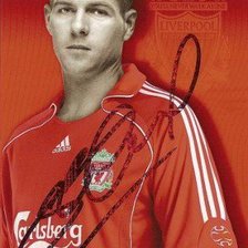 Схема вышивки «GERRARD»