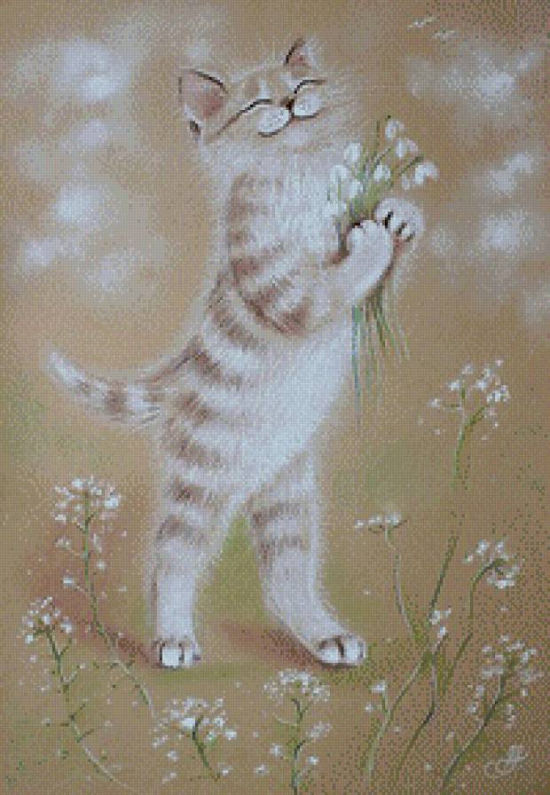 котик - животные, коты - предпросмотр